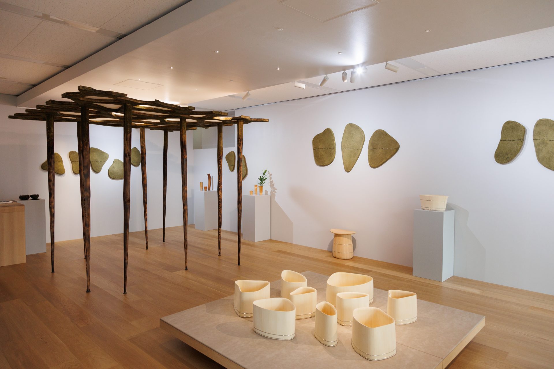 イベント】7階にて、中川周士 個展「茶の杜に惑ふ – 個細胞が見る夢